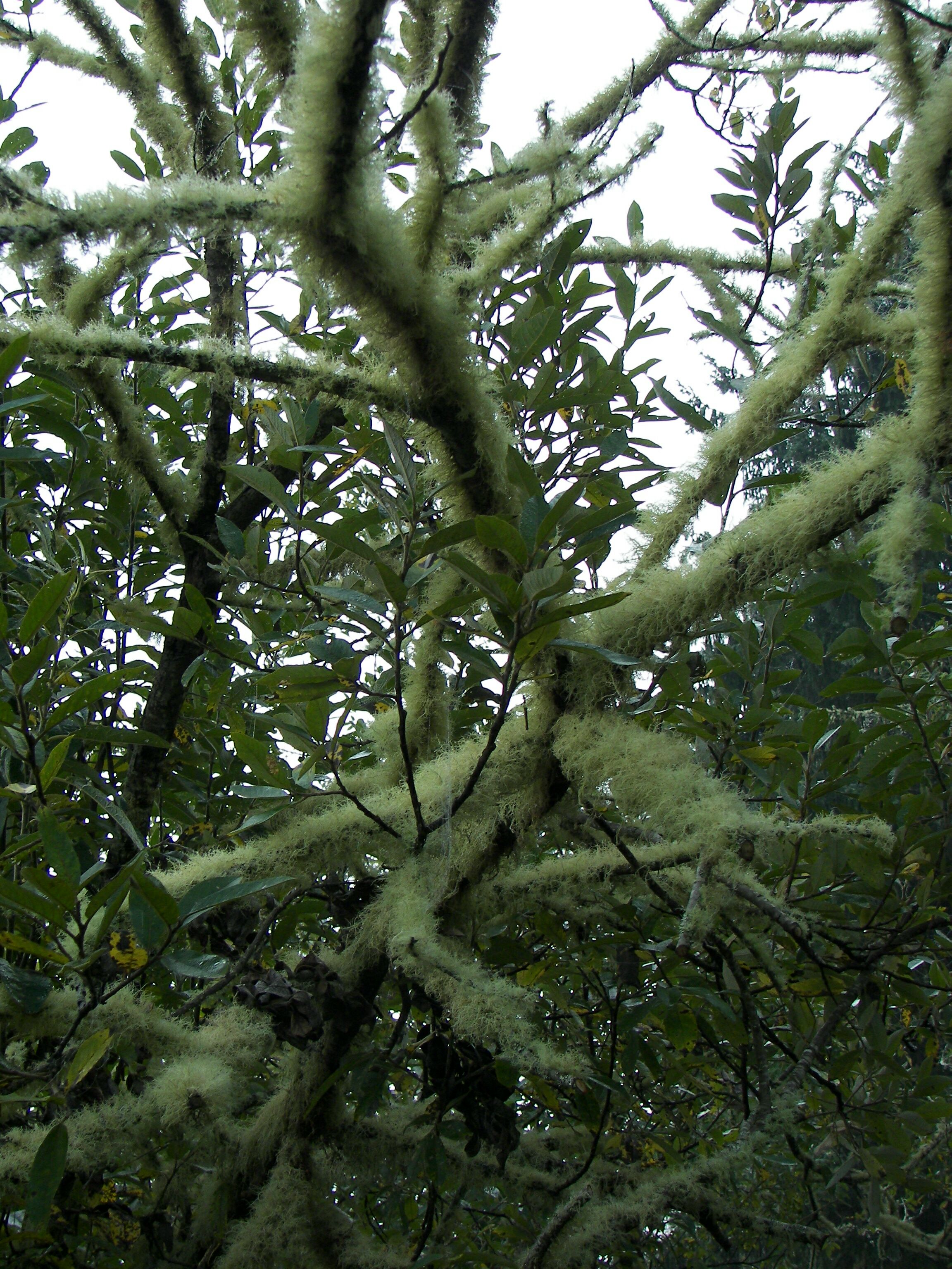 Views around Fort Clatsop